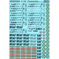 Decal 1/48 for Iranian F-14 Tomcats